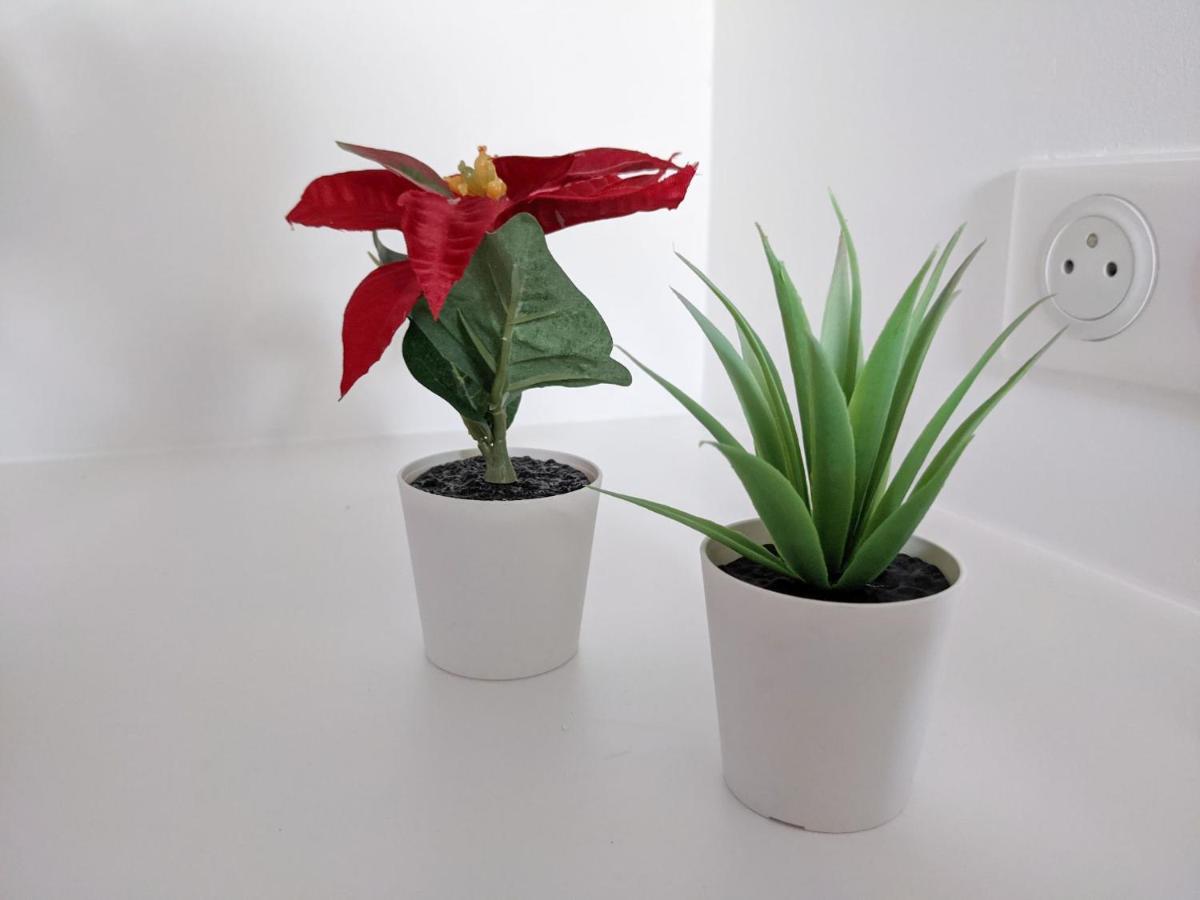 Apartment Reves Paisibles Rubis - *